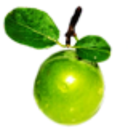 Green Gauge Consulting Limited.